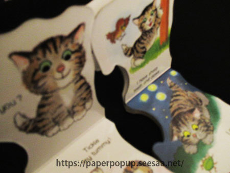 Pocket Kitten 06.jpg