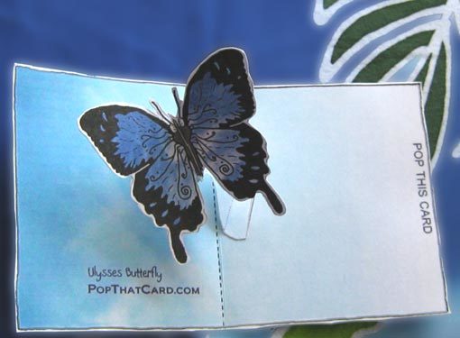 ☆無料ダウンロード ポップアップカード ☆青く美しい蝶が飛び出す ...
