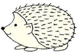 how to draw hedgehog.JPG
